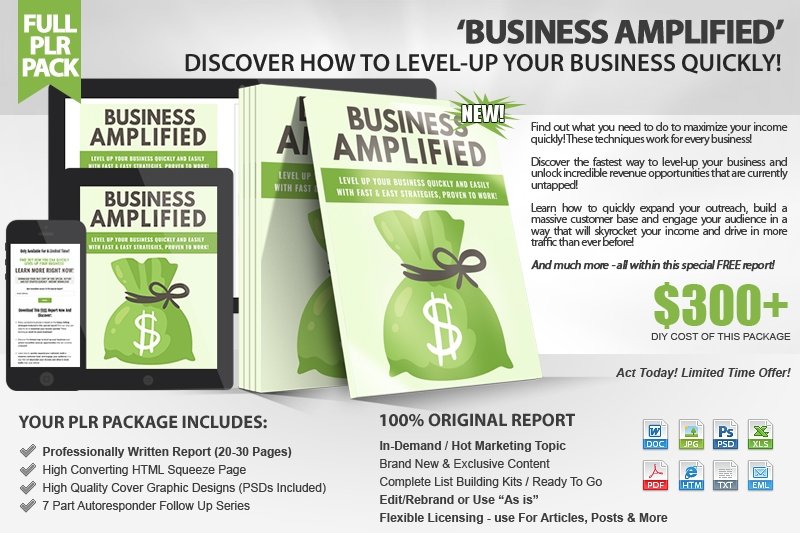 Business-Amplified-PLR