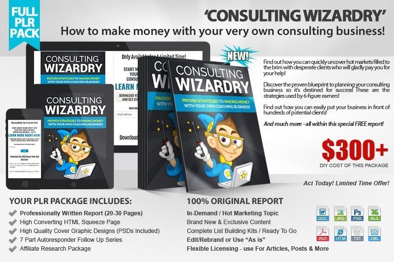 Consulting-Wizardry-PLR