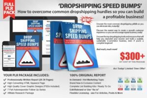 Dropshipping-Speed-Bumps-PLR